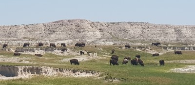 Buffalo Gap, South Dakota