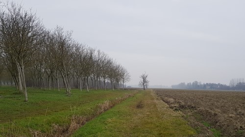 Path to the Italian Point of Inaccessibility