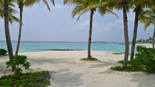 Hard Rock Island, Maldives