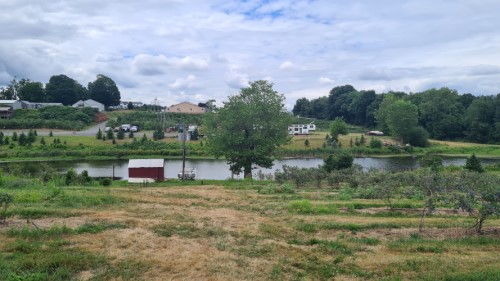 CT Pole of Inaccessibility lies on Rose's Berry Farm