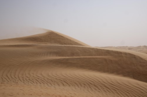 Deserts of Abu Dhabi