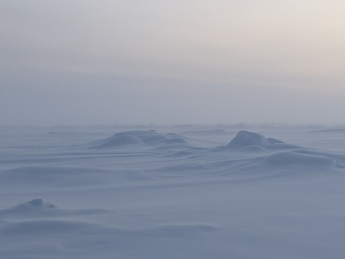 On the arctic sea ice