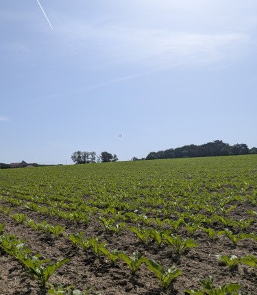The Point of Inaccessibility for Belgium lies in this field.